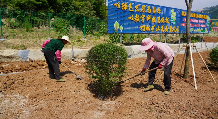 “五个以”实践体系的随县答卷 数智赋能 向新出发安博体育官方网站(图5)