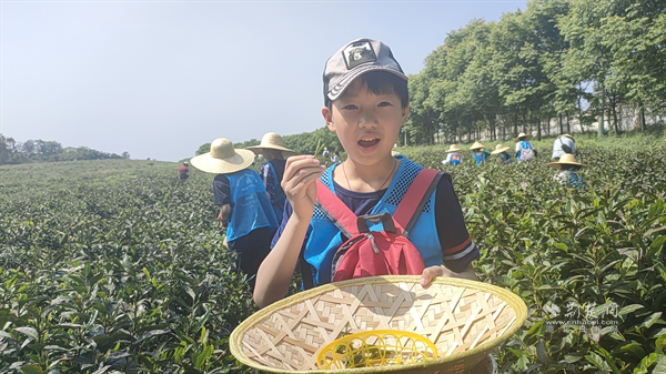 图片1.png.png
