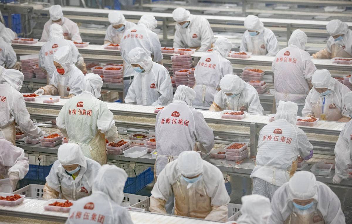 今日好稿丨一起事故催生全国首个液氮速冻安全规范(图7)