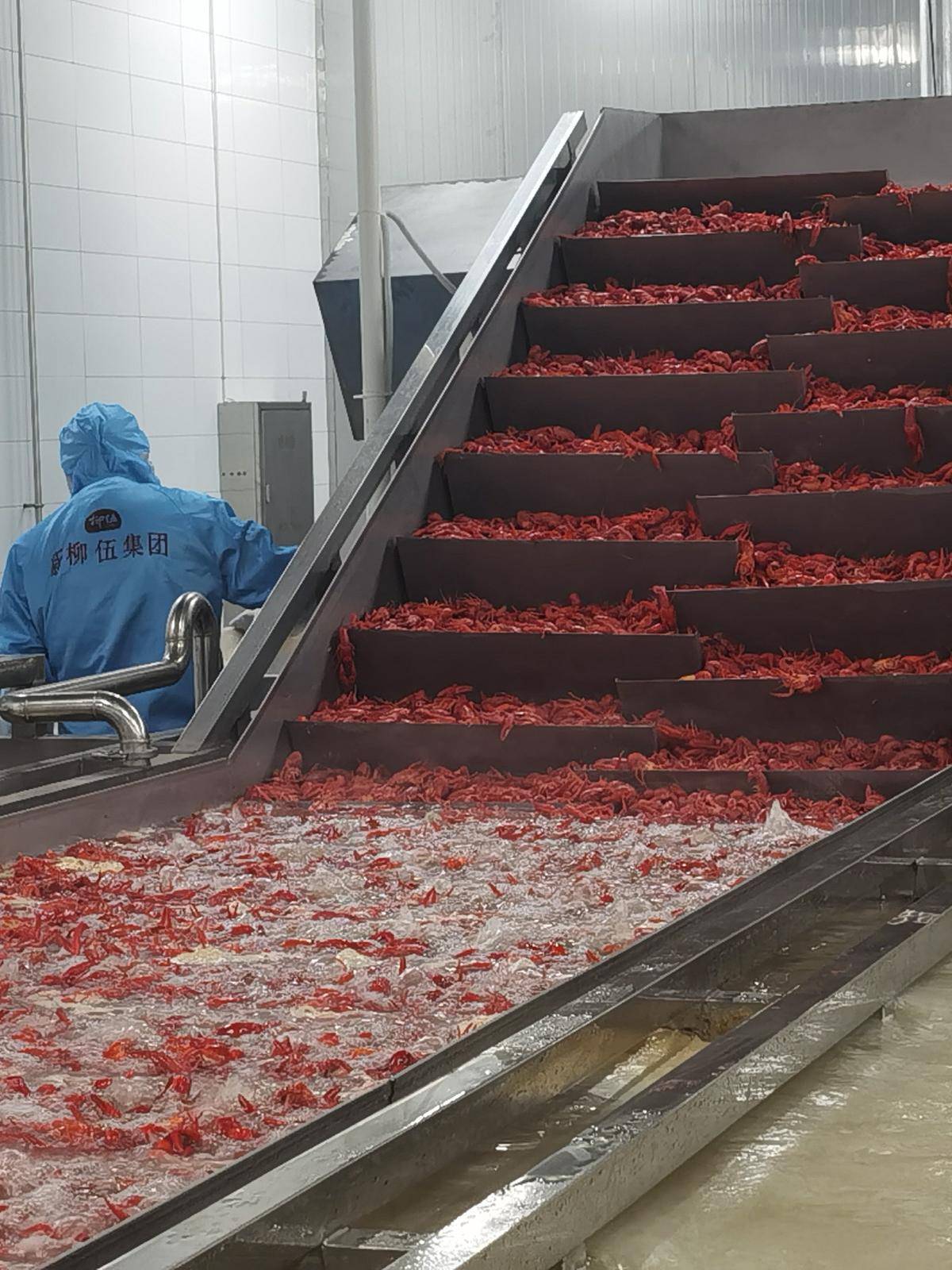 今日好稿丨一起事故催生全国首个液氮速冻安全规范