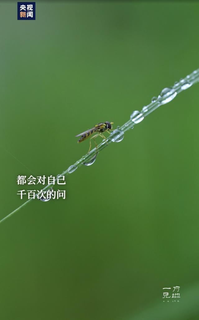ca96693fa1f12761502aa639695476bb.jpeg