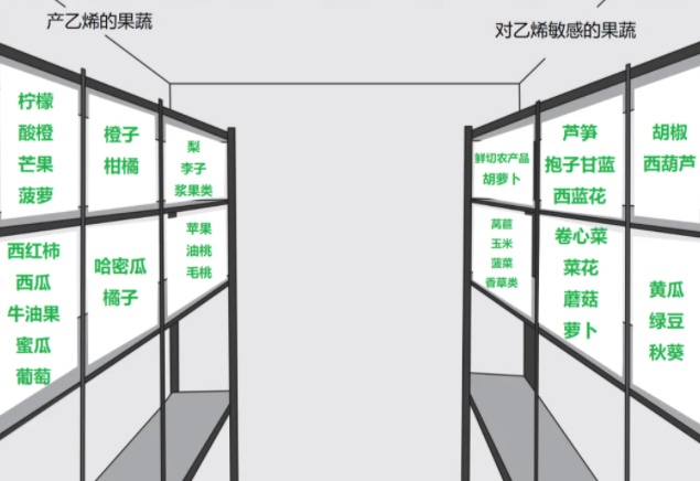 澳门·新葡澳京(中国)官方网站哪些果蔬适合放冰箱？怎样存放更健康？一文了解→(图3)