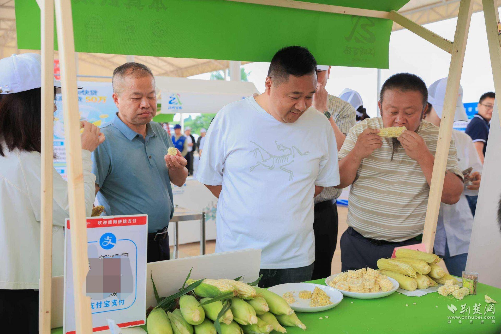 汉南6万亩甜玉米集中上市 剥去外衣就能放心吃