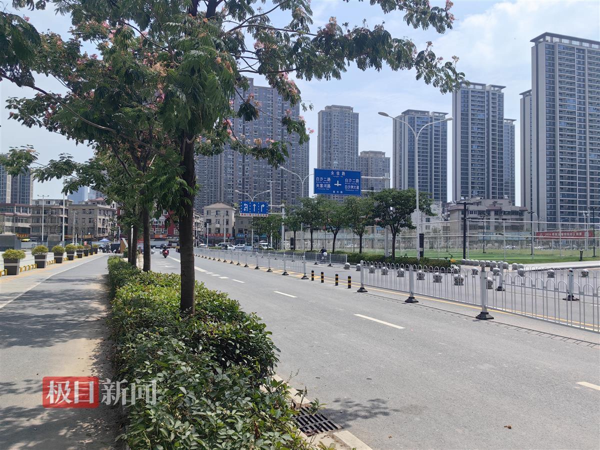 极目帮办市民反映市政道路上设置闸口;体育官方网站相关部门回应：属市政道路但还未建(图3)