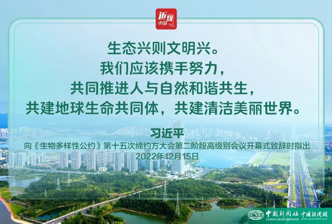 近观中国｜习：生态文明建设是关系中华民族永续发展的根本大计(图7)
