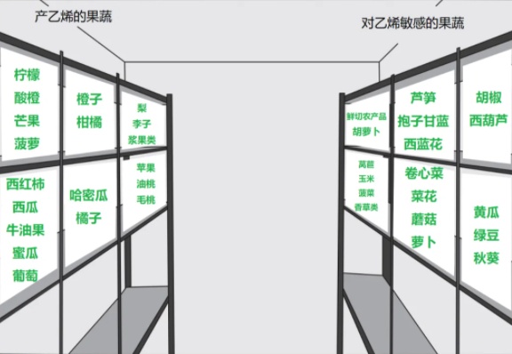 哪些果蔬適合放冰箱？怎樣存放更健康？一文了解→