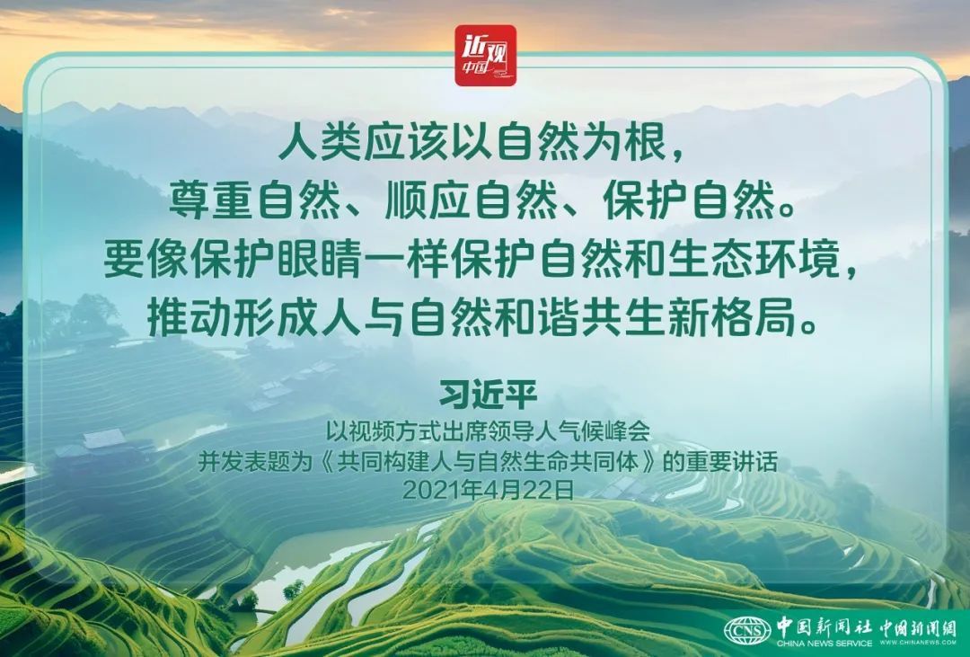 近观中国｜习：生态文明建设是关系中华民族永续发展的根本大计(图11)