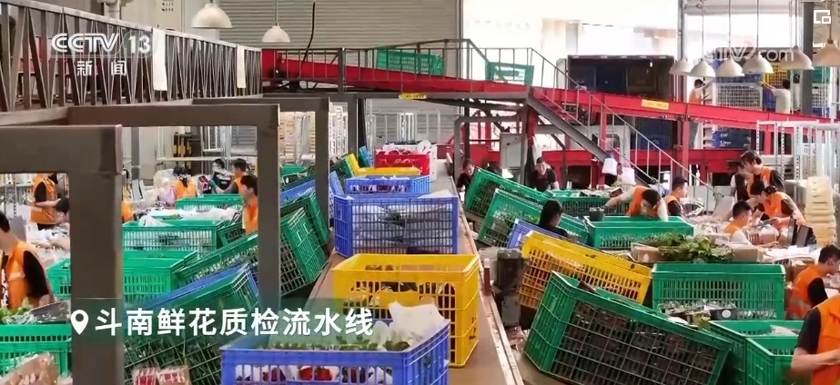 千亿级!新突破!美丽经济盛开“科技之花”“中国风”增“香”海外(图18)