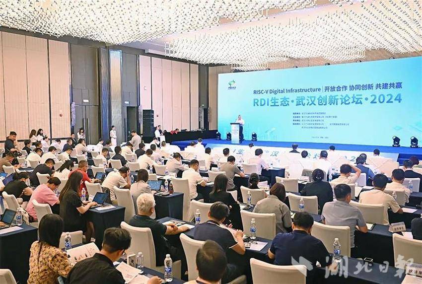 光谷金控集团深度布局RISC