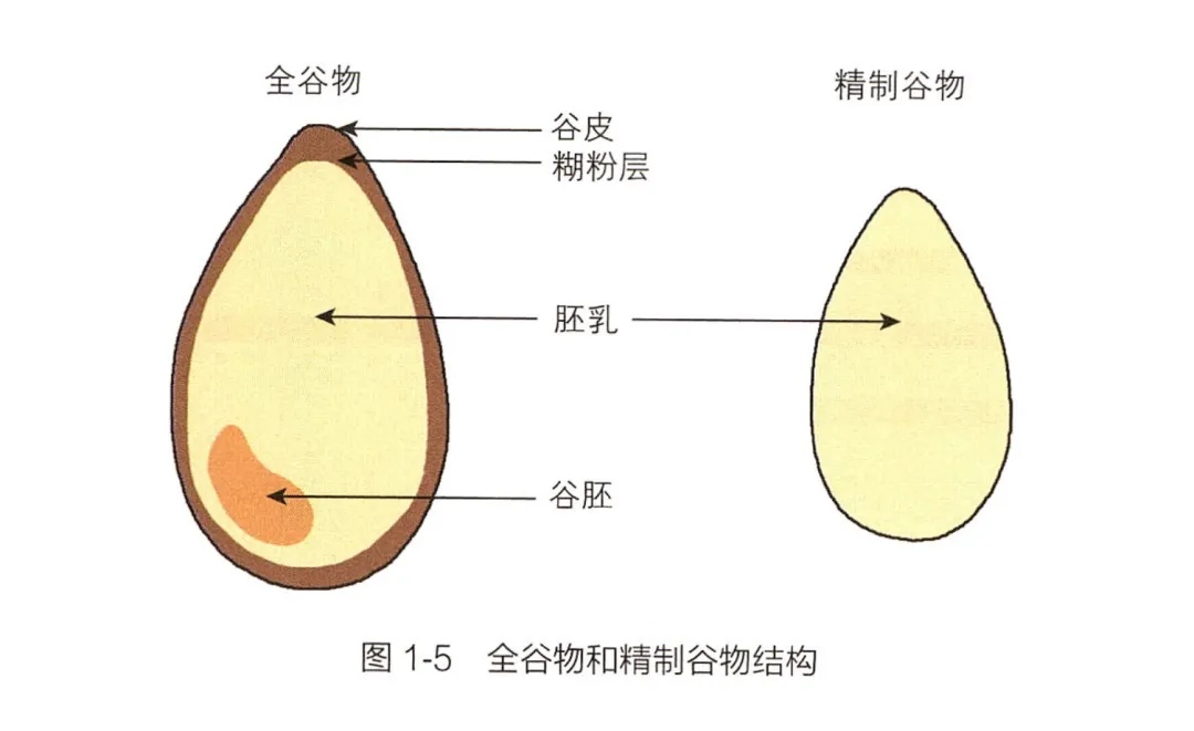 这种粗粮产品冲泡就能吃，升糖还慢，你可能没吃过……