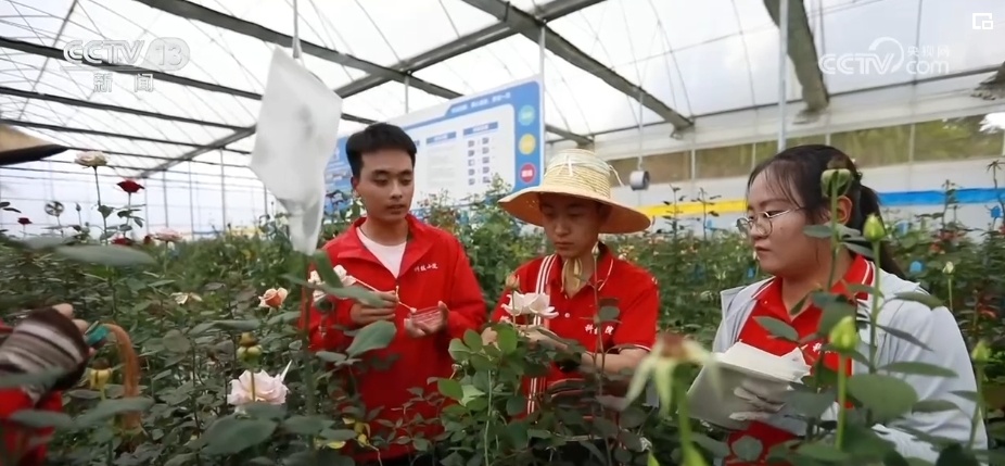 千亿级!新突破!美丽经济盛开“科技之花”“中国风”增“香”海外(图15)
