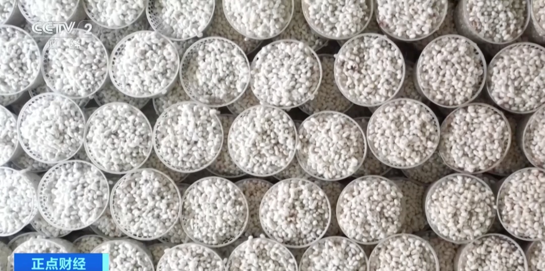 豆粕今日报价2022.3.26 5f3112dac3302807e66478534f5a0aee.jpeg