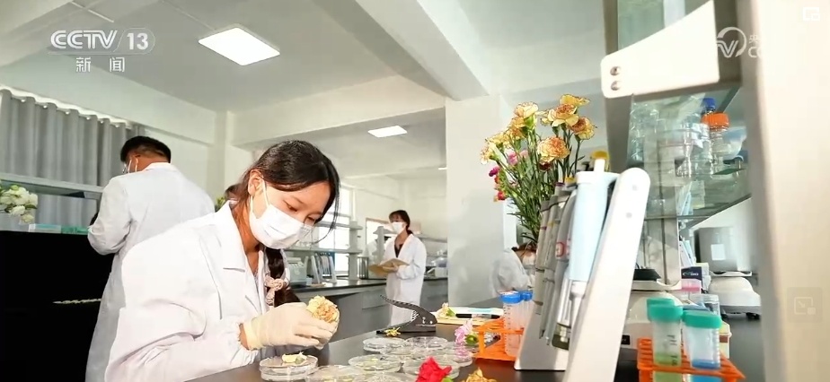 千亿级!新突破!美丽经济盛开“科技之花”“中国风”增“香”海外(图1)
