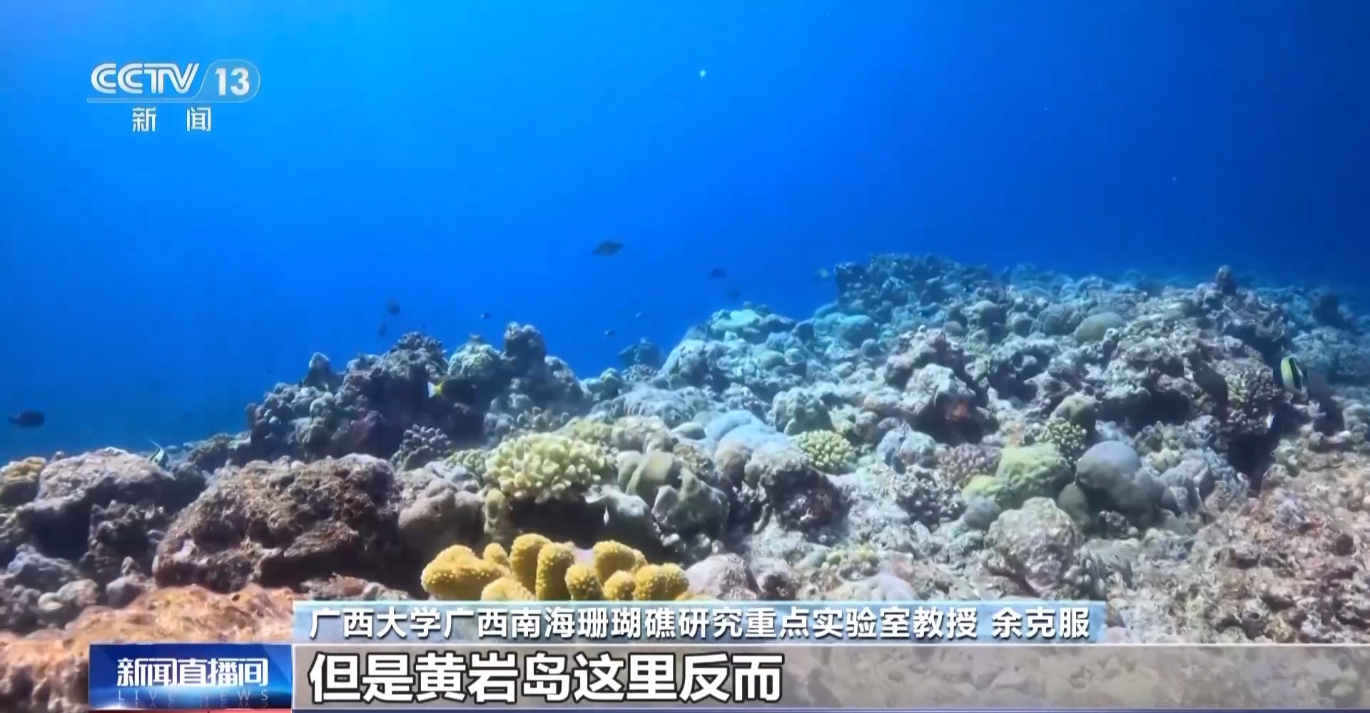 黄岩岛面积多长 da166b55599db72412c0e8089948de93.jpeg