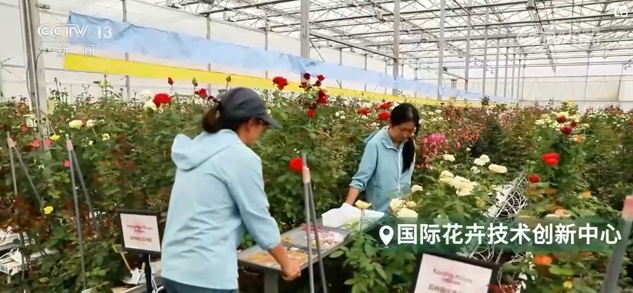 千亿级!新突破!美丽经济盛开“科技之花”“中国风”增“香”海外(图5)