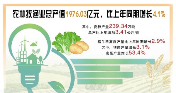 贵州：上半年特色农业较快增长 禽蛋产量大幅提升