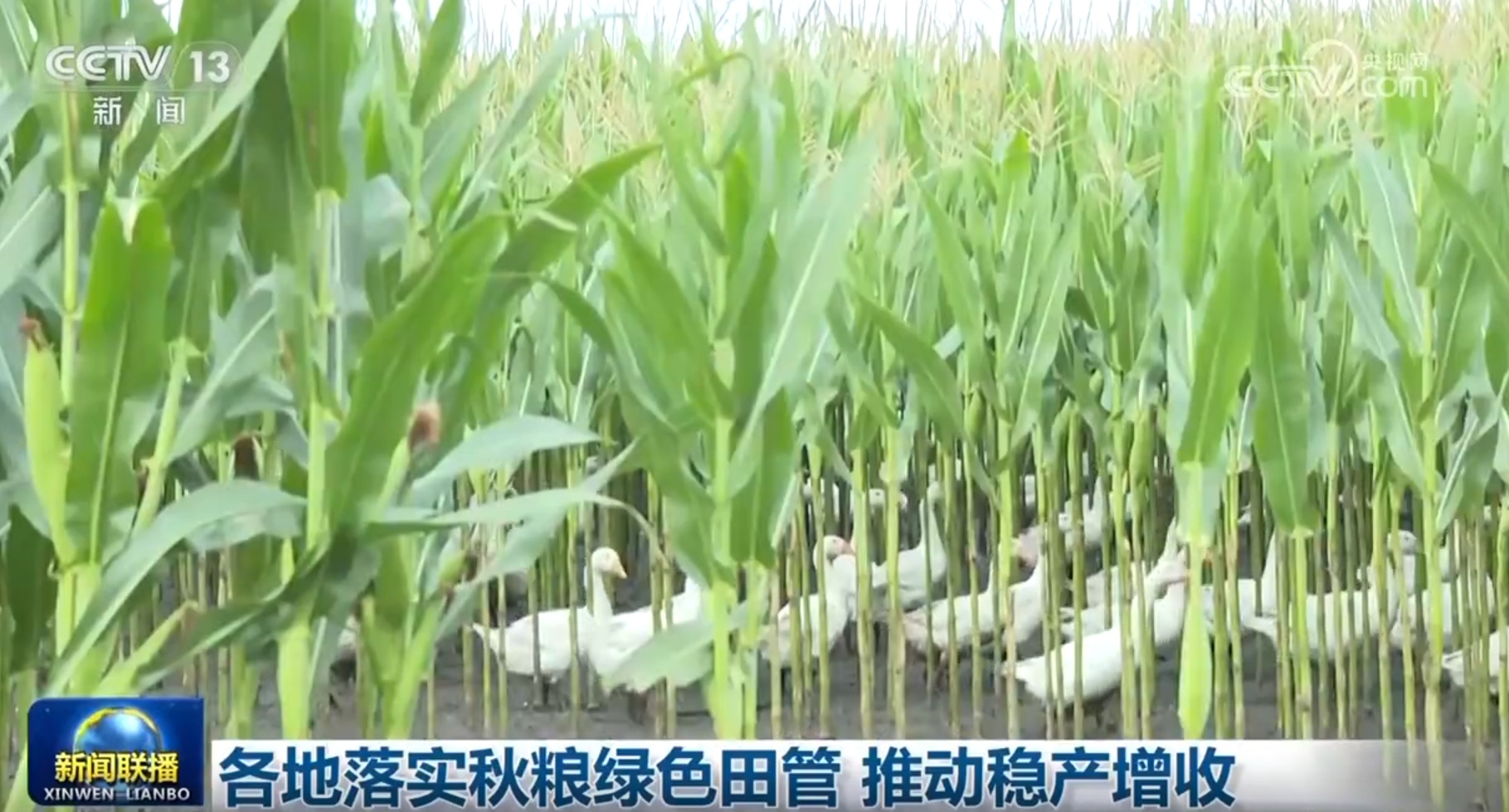多领域发展质效稳步提升触摸中国高质量发展强劲“脉动”(图8)