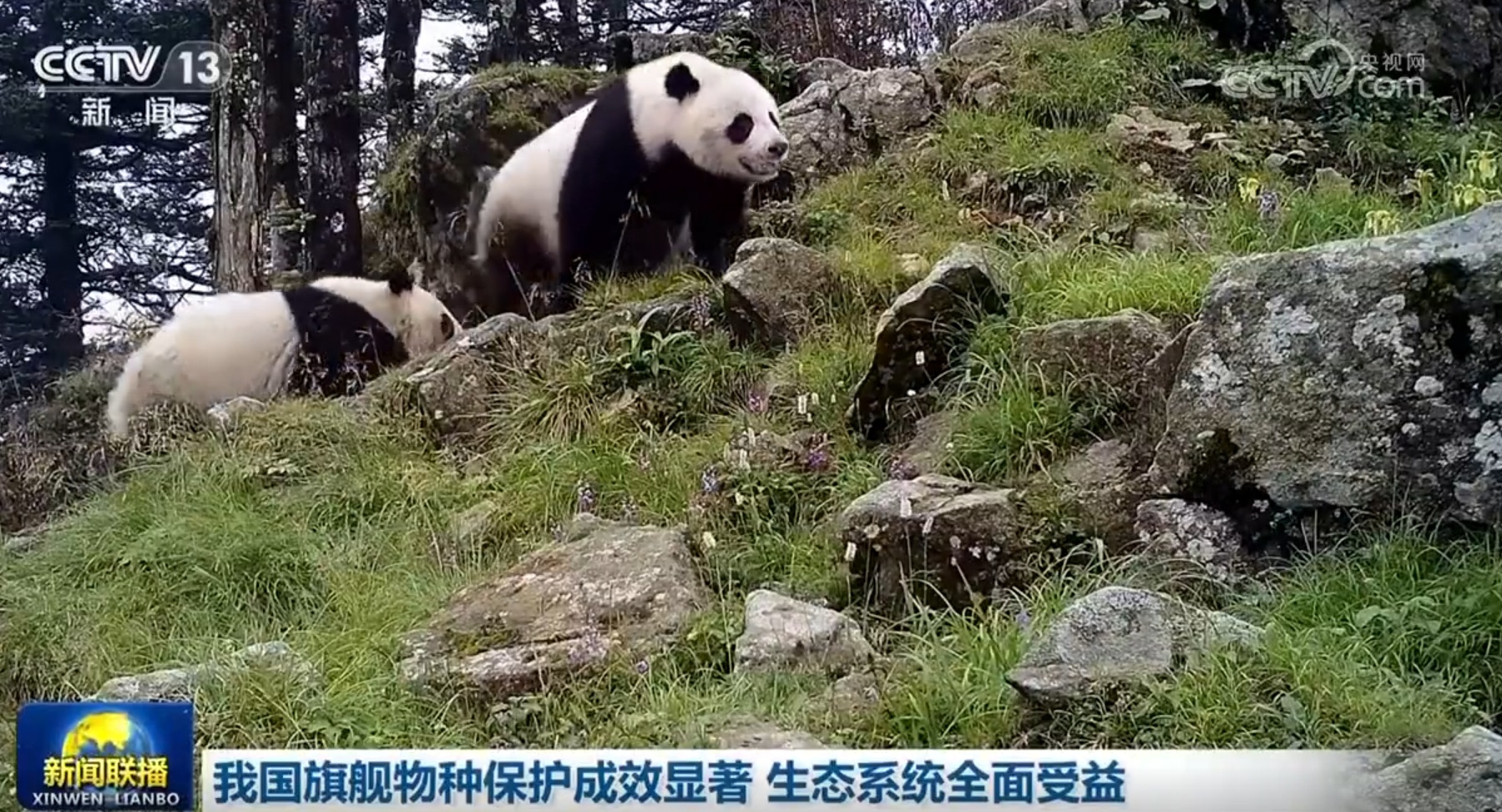 多领域发展质效稳步提升触摸中国高质量发展强劲“脉动”(图16)