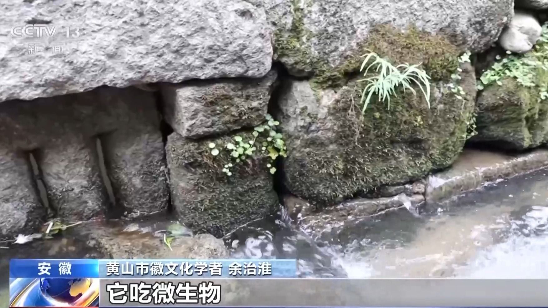 文化中国行丨距今几百年为何不惧暴雨洪涝？揭秘古村落的生态智慧(图4)