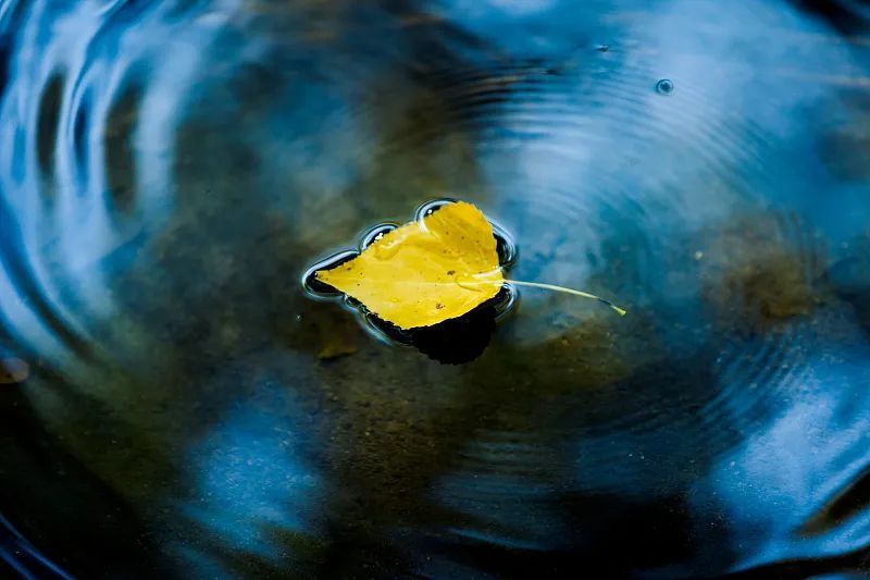 一点雨声 9394e5bb711d491d70f3d1a9c2492ec0.jpeg