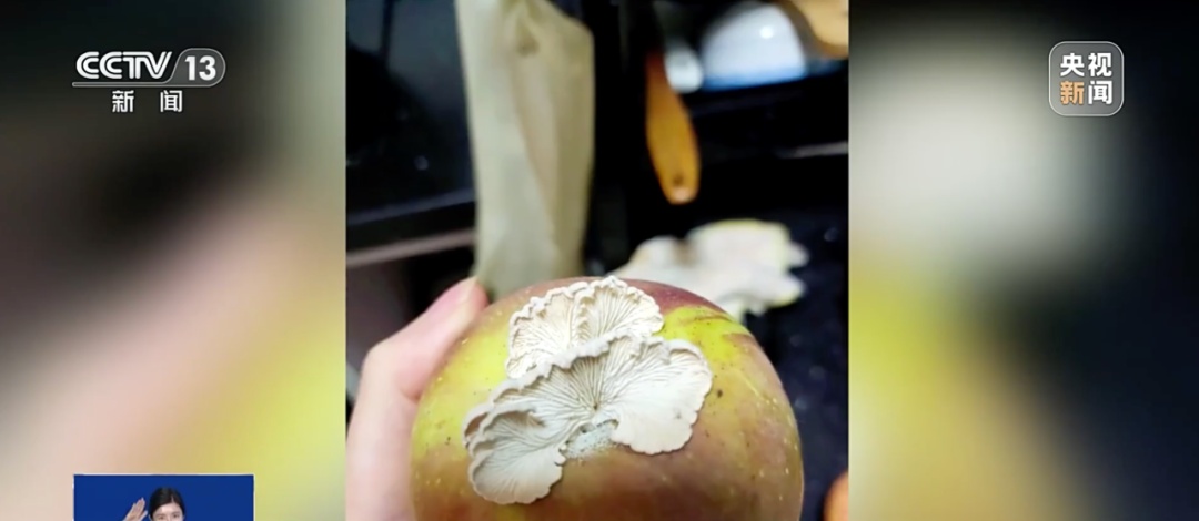a231a8b65f1fdfccc89765c76b6e95e0.jpeg