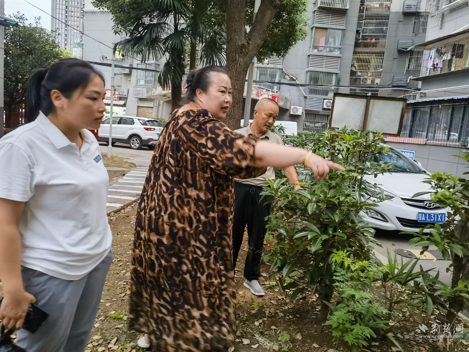 小区能人交流花卉种植意见.jpg.jpg