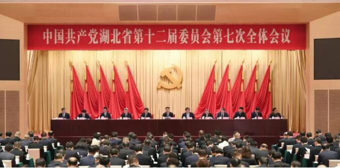 图图.jpg