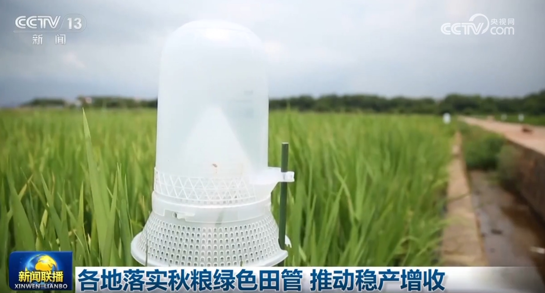 多领域发展质效稳步提升触摸中国高质量发展强劲“脉动”(图5)