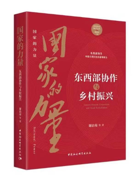 深入阐释东西部协作的理论与实践价值