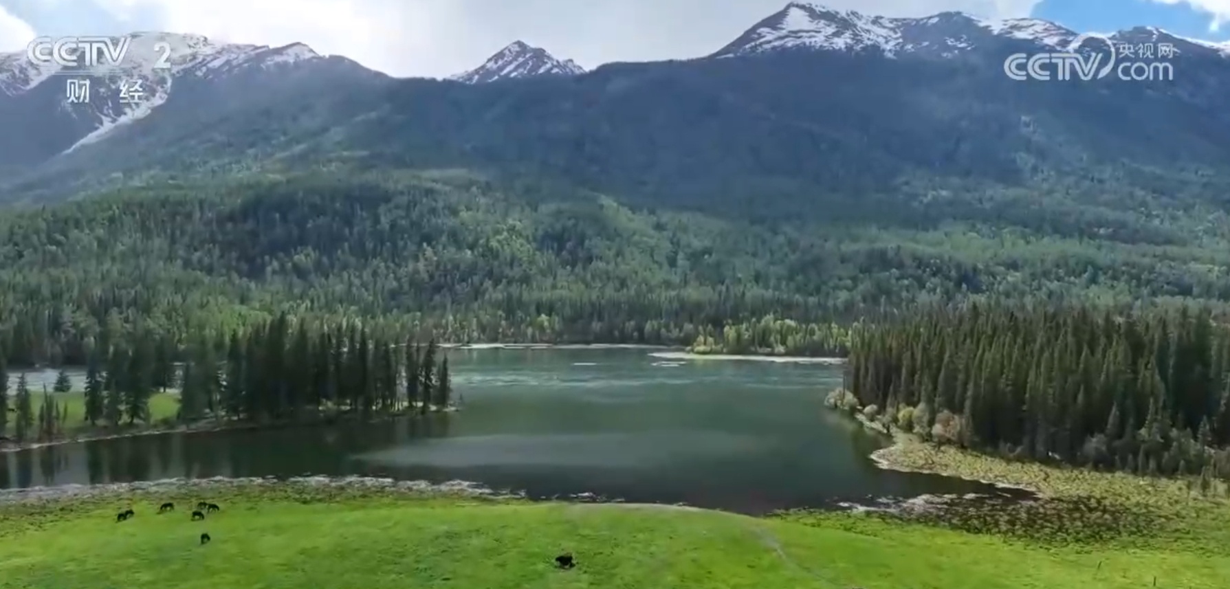 “真金白银”激发文旅市场消费新活力为产业发展插上“科技的翅膀”(图2)