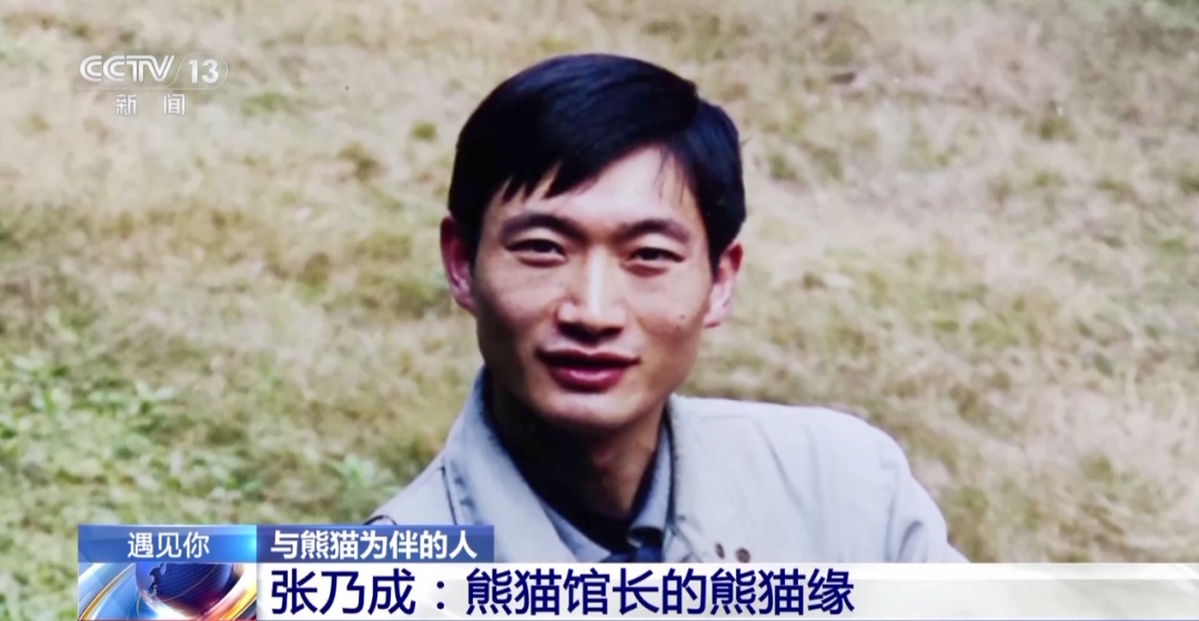 重庆大熊猫爱吃啥子?当然是“huo go”~