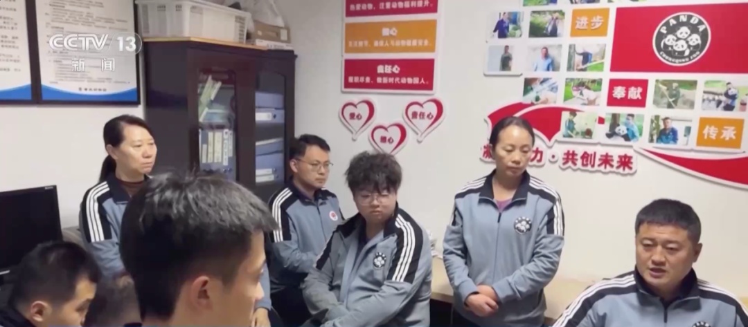 重庆大熊猫爱吃啥子?当然是“huo go”~