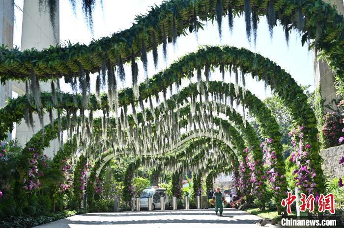 广东广州：探营云萝美嘉体育下载植物园(图2)