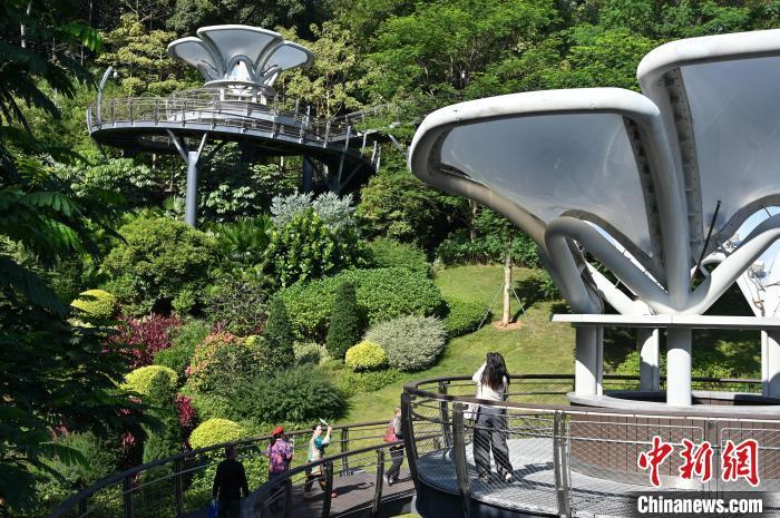 广东广州：探营云萝美嘉体育下载植物园(图7)
