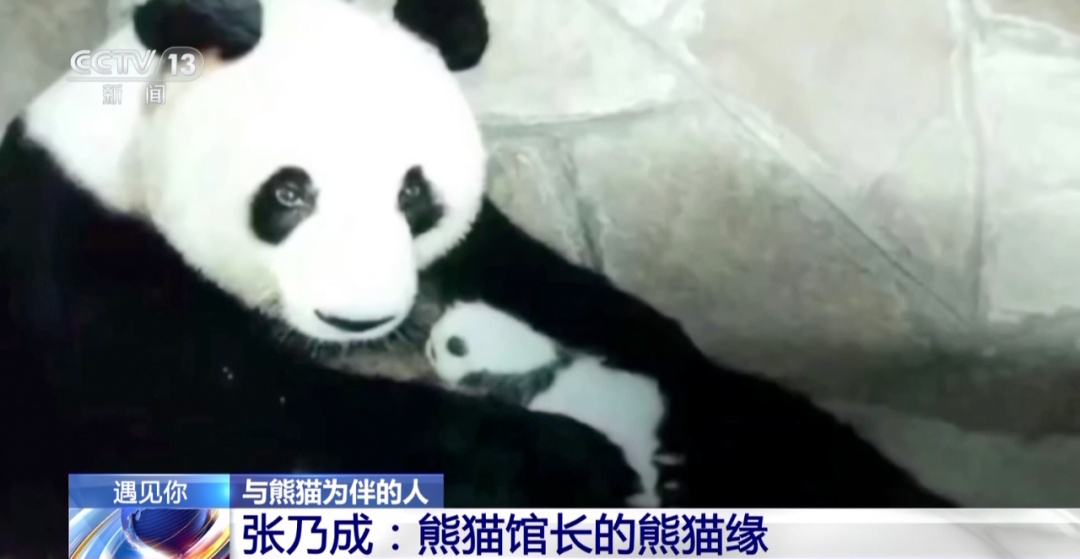 èɶӣȻǡhuo go~