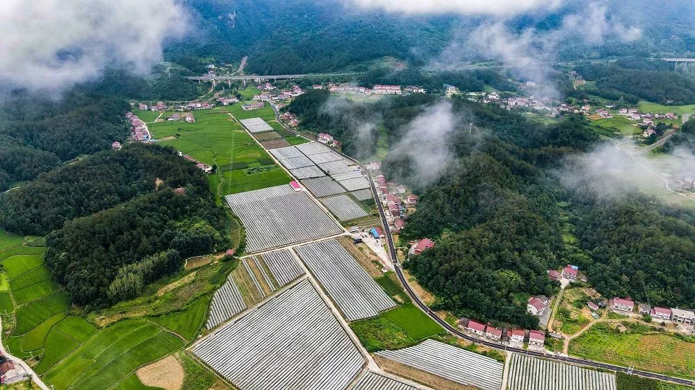 生态美 产业强 百姓富——远安小流域综合治理从试点到扩面的实践(图6)