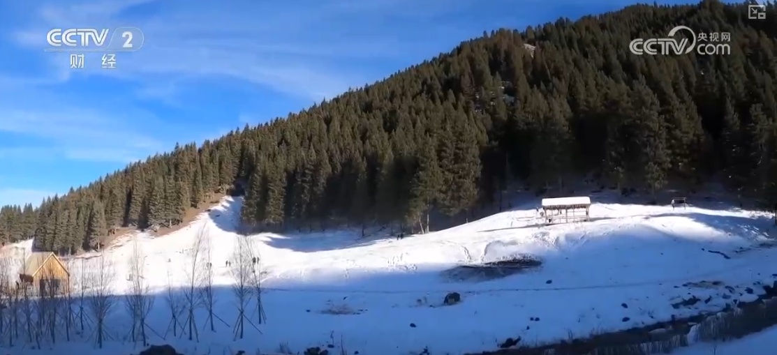 “创新+服务”迎来大市场“冰雪+”圈粉无数释放消费“新”热潮(图8)