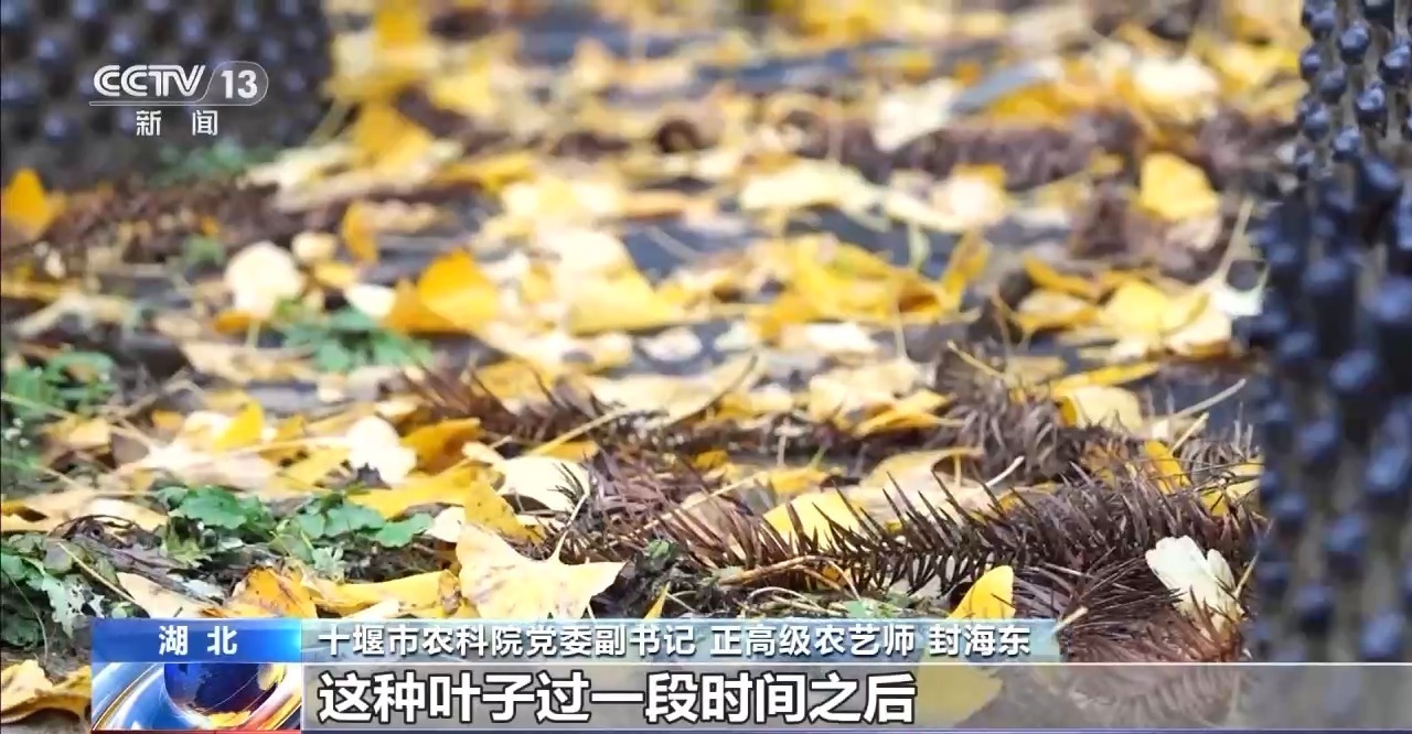 南水北调全面通水十周年|十堰泗河:“龙须沟”变身“一库碧水”(图12)