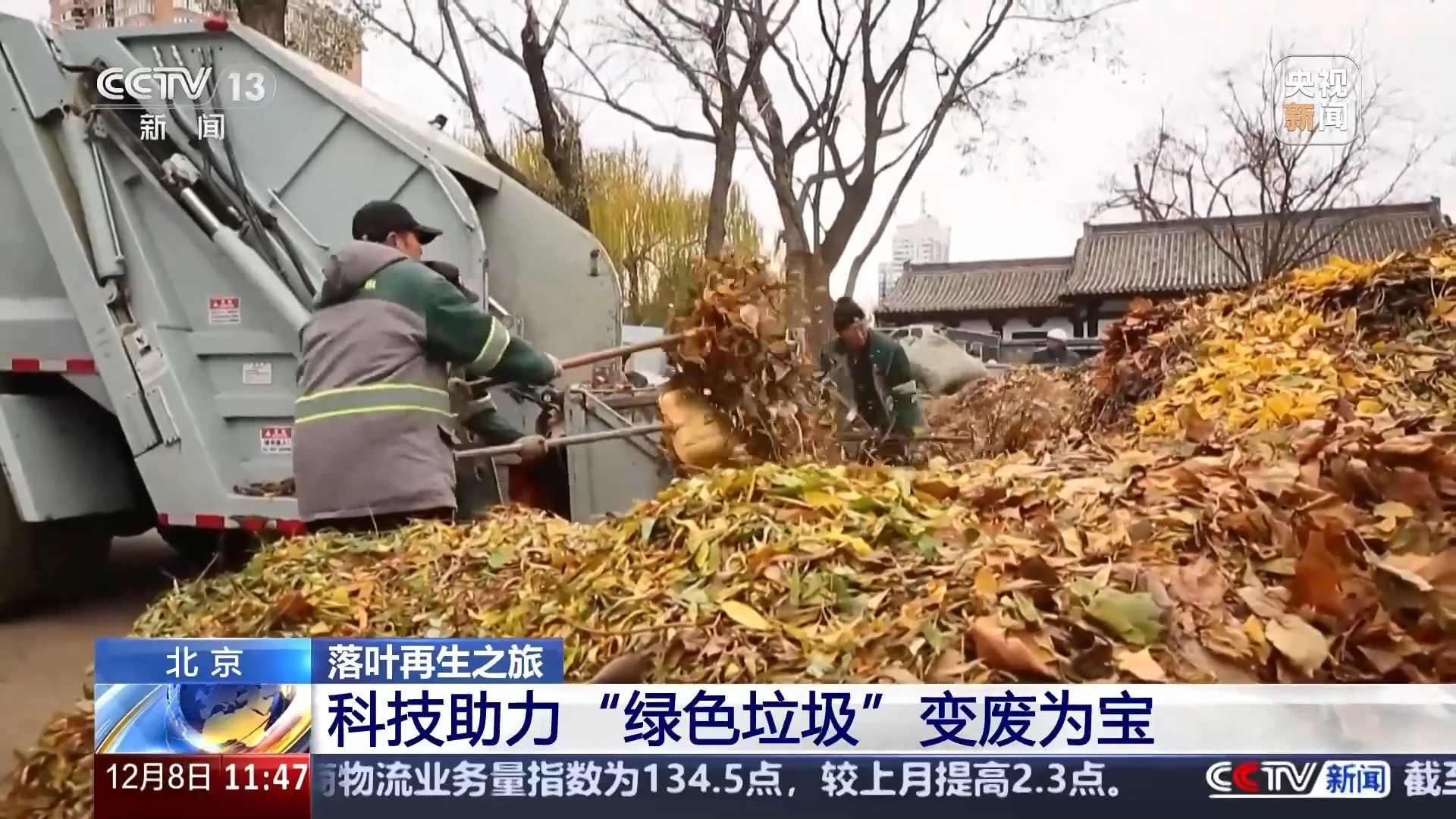 开云电竞入口落叶也能“生花” (图1)