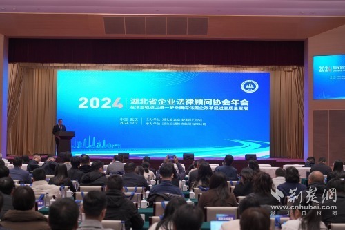 湖北省企业法律顾问协会2024年年会现场_proc.jpg.jpg