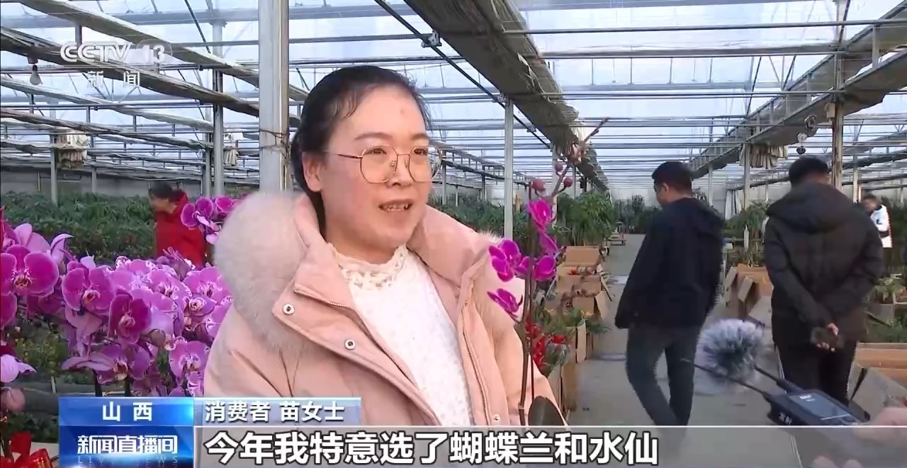 蝴蝶兰杜鹃水仙……美嘉体育春节临近 你买花了吗？(图2)