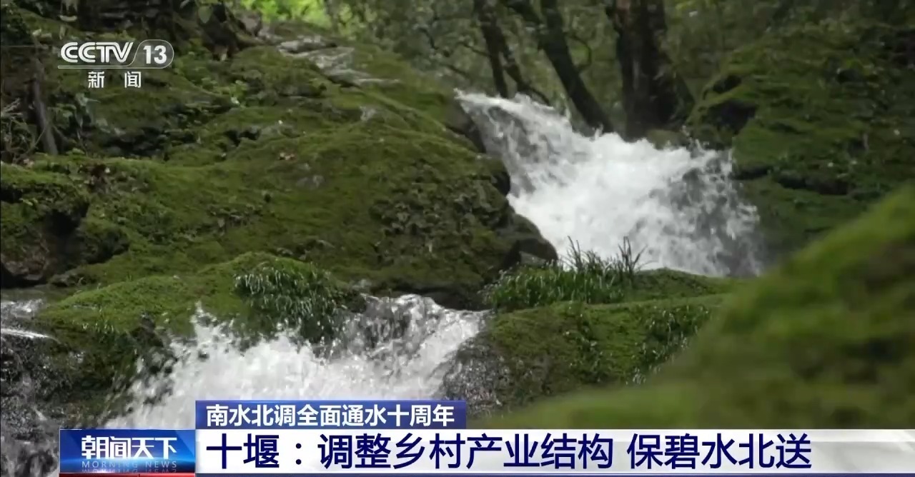 南水北调全面通水十周年|十堰泗河:“龙须沟”变身“一库碧水”(图15)