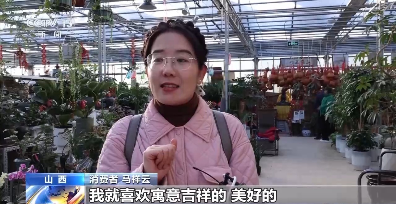 蝴蝶兰杜鹃水仙……美嘉体育春节临近 你买花了吗？(图1)