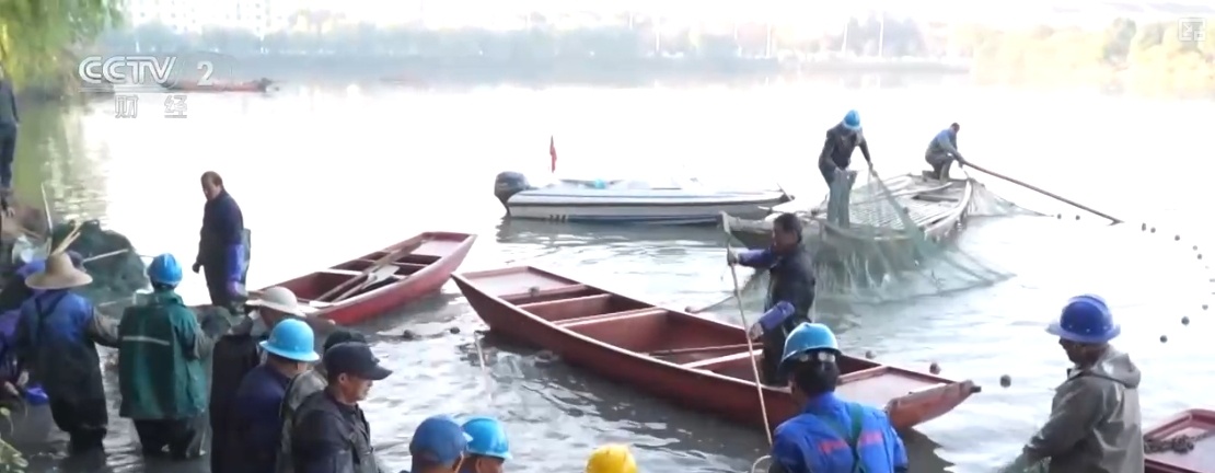鱼跃水清冬捕忙！深海网箱养殖成海洋经济亮点(图4)