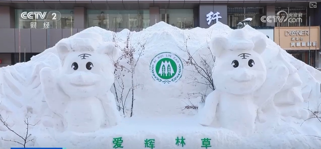 “创新+服务”迎来大市场“冰雪+”圈粉无数释放消费“新”热潮(图6)