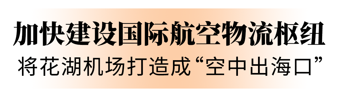 代表委员热议提升武汉都市圈能级，将花湖机场打造成内陆开放“空中出海口”