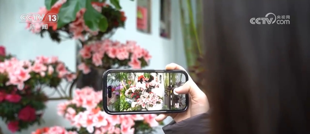 新“花赢博体育平台”样点亮“花”样年 “美丽经济”带动花卉消费“一路缤纷”(图3)