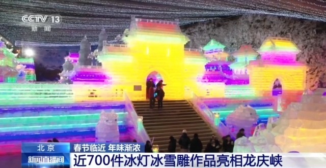 冰悟空酷炫亮相 6686体育年宵花“组团”上线 年味一下子就有了(图1)