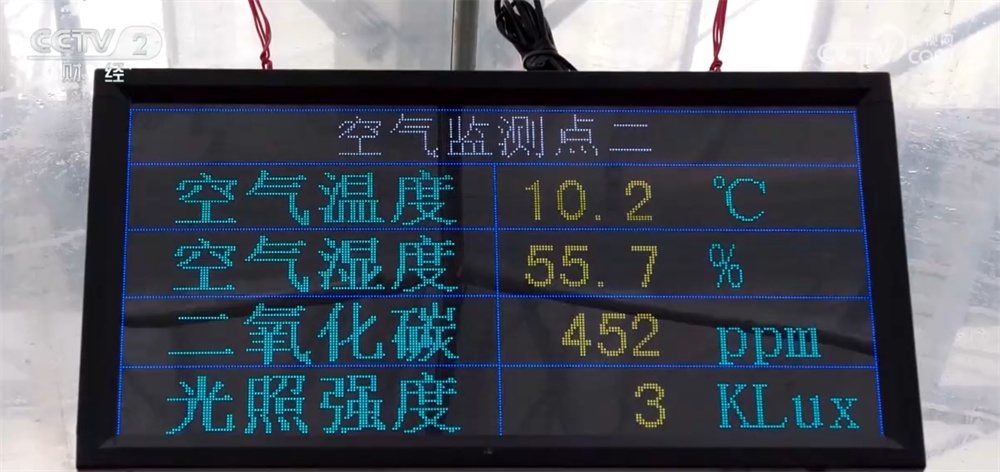 奇异果体育·(中国)官方网站时令蔬果“抢鲜”上市丰富百姓餐桌 “数”“智”联动带(图7)