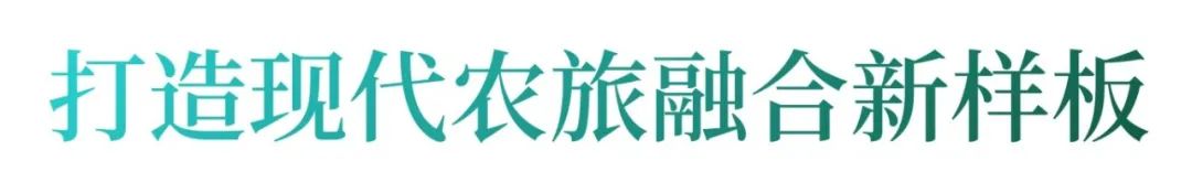 博乐体育武汉东西湖：春到田间万象新(图5)